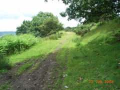
Graig Wen levels and quarry access lane (possibly a tramway), June 2008